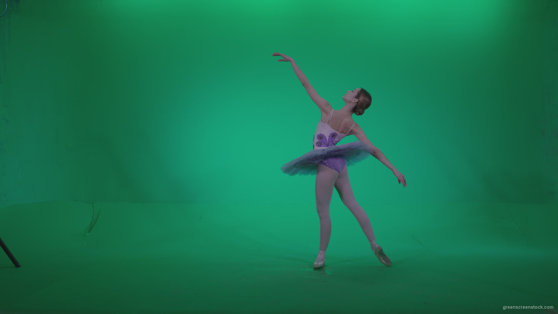 Ballet-Purple-Costume-p6-Green-Screen-Video-Footage_008 Green Screen Stock