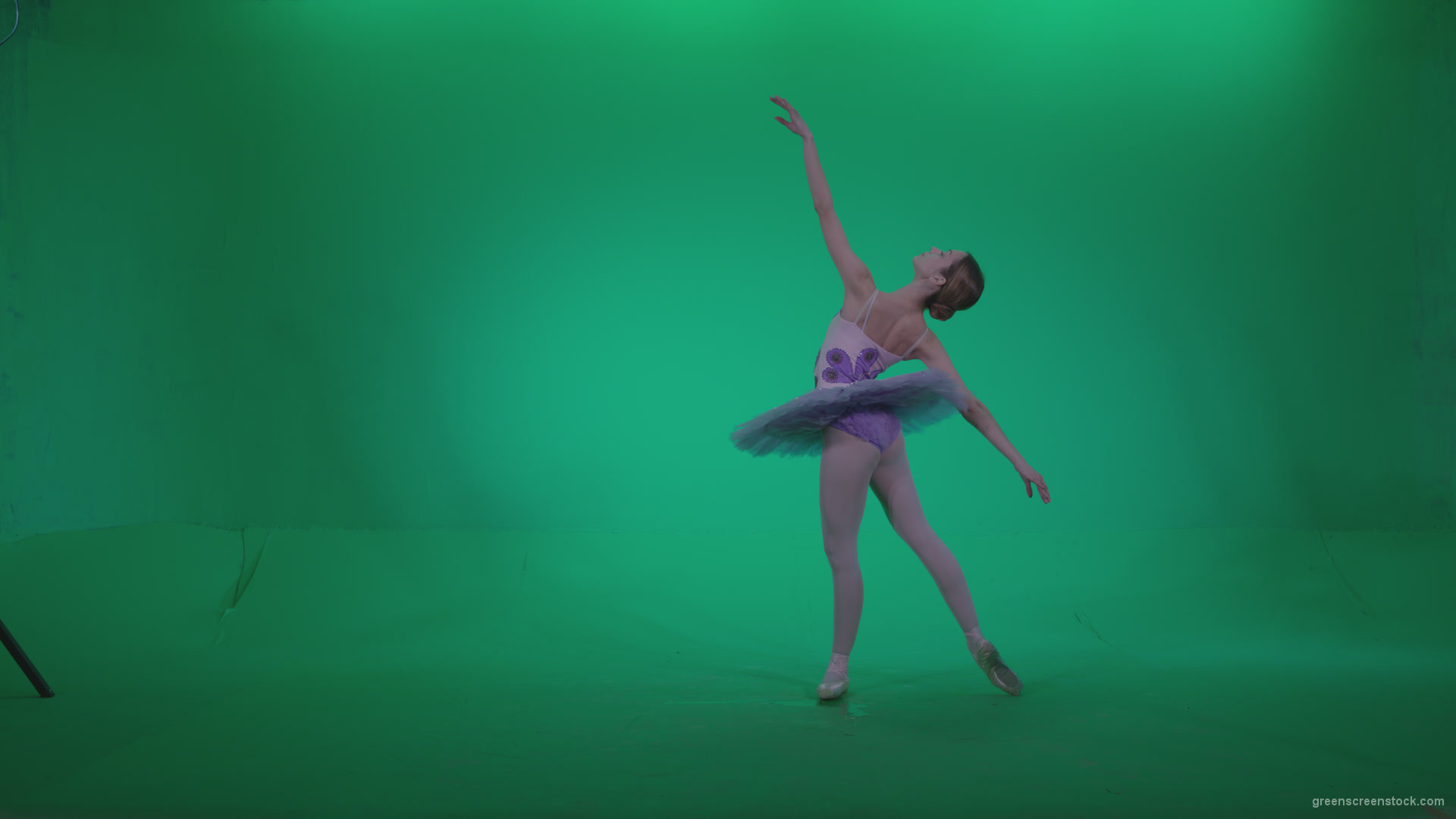 Ballet-Purple-Costume-p6-Green-Screen-Video-Footage_009 Green Screen Stock