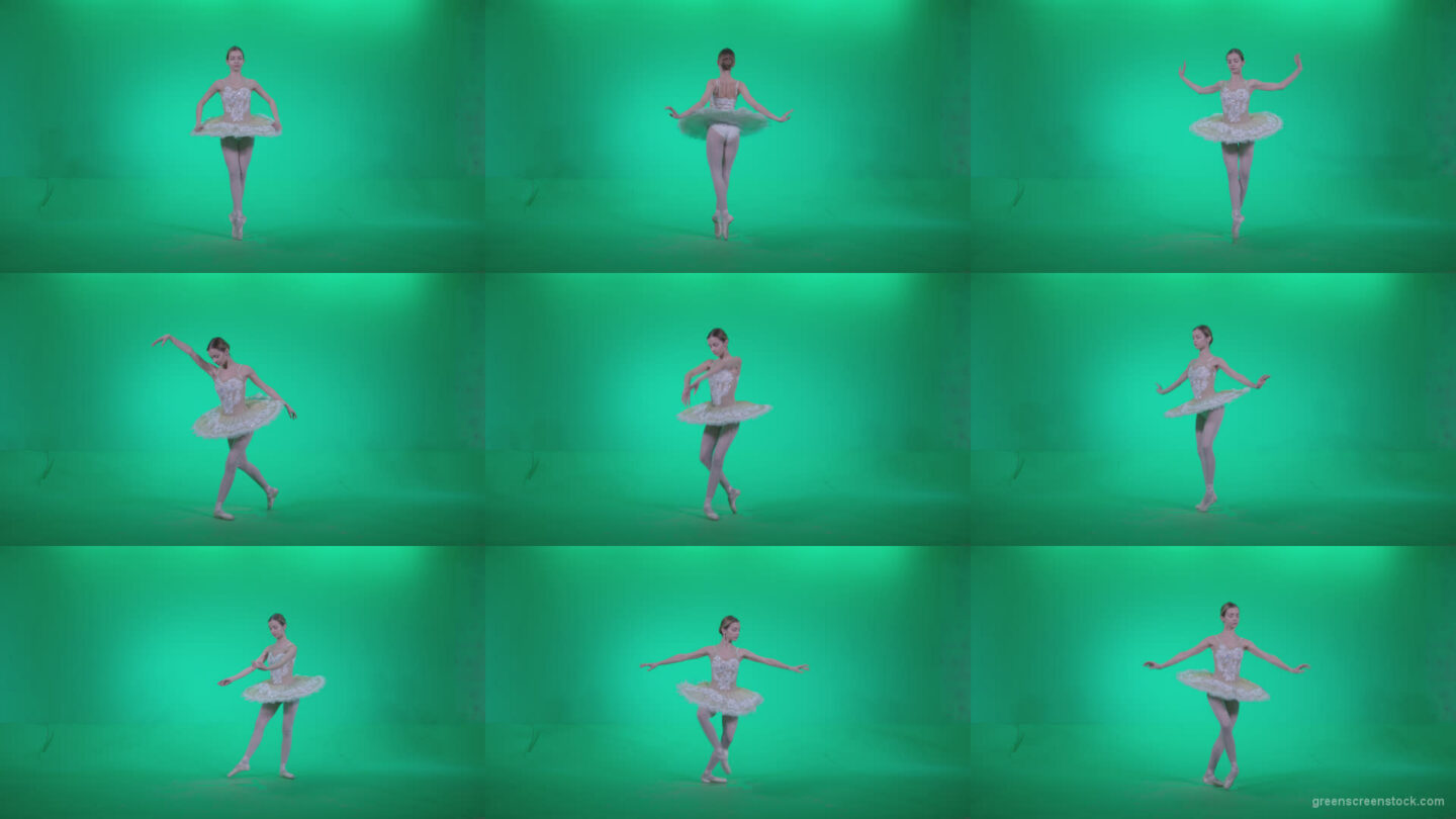 Ballet-White-Swan-s1 Green Screen Stock