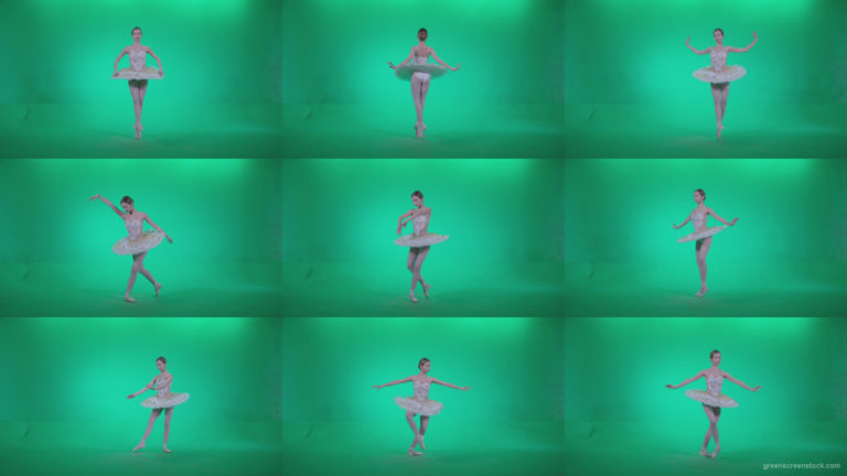 Ballet-White-Swan-s1 Green Screen Stock