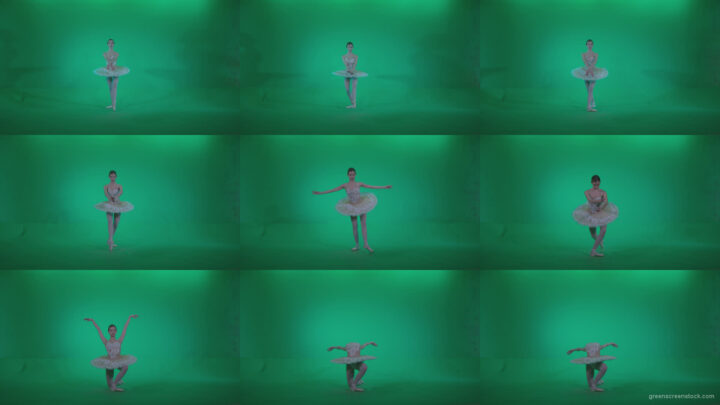 Ballet-White-Swan-s12-Green-Screen-Video-Footage Green Screen Stock