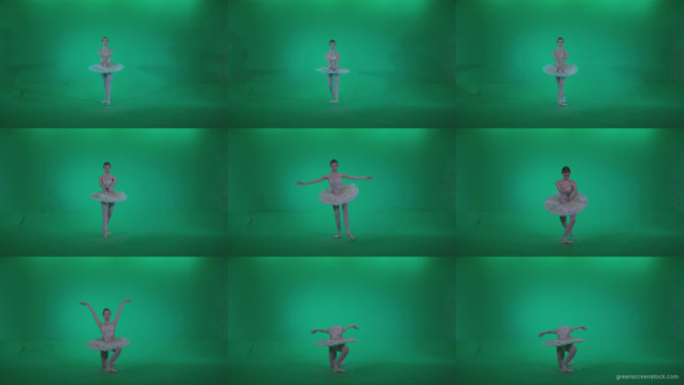 Ballet-White-Swan-s12-Green-Screen-Video-Footage Green Screen Stock