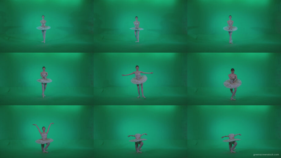 Ballet-White-Swan-s12-Green-Screen-Video-Footage Green Screen Stock
