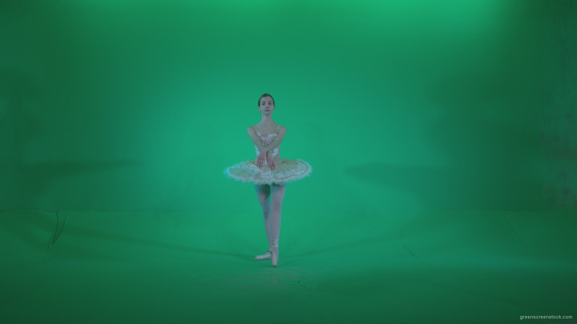 Ballet-White-Swan-s12-Green-Screen-Video-Footage_001 Green Screen Stock
