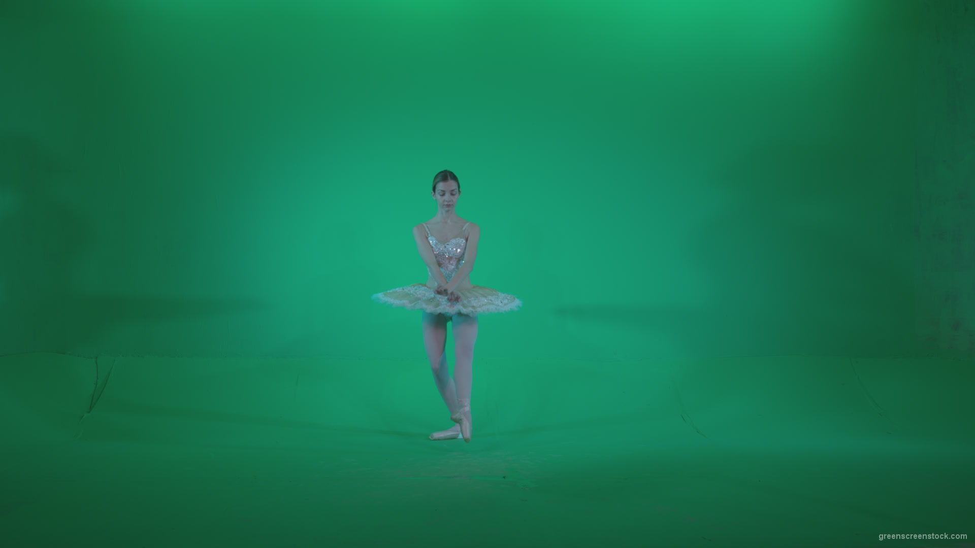 Ballet-White-Swan-s12-Green-Screen-Video-Footage_002 Green Screen Stock
