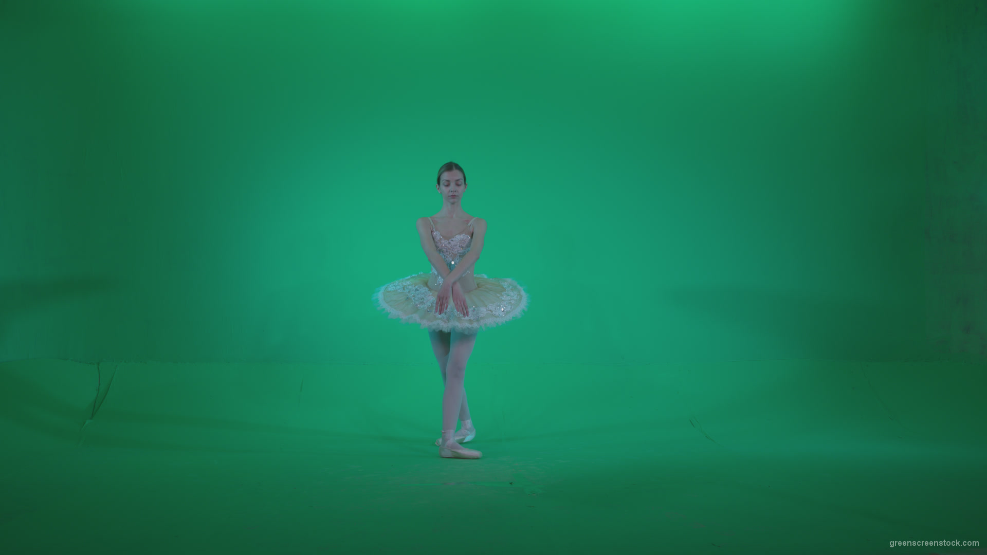 vj video background Ballet-White-Swan-s12-Green-Screen-Video-Footage_003