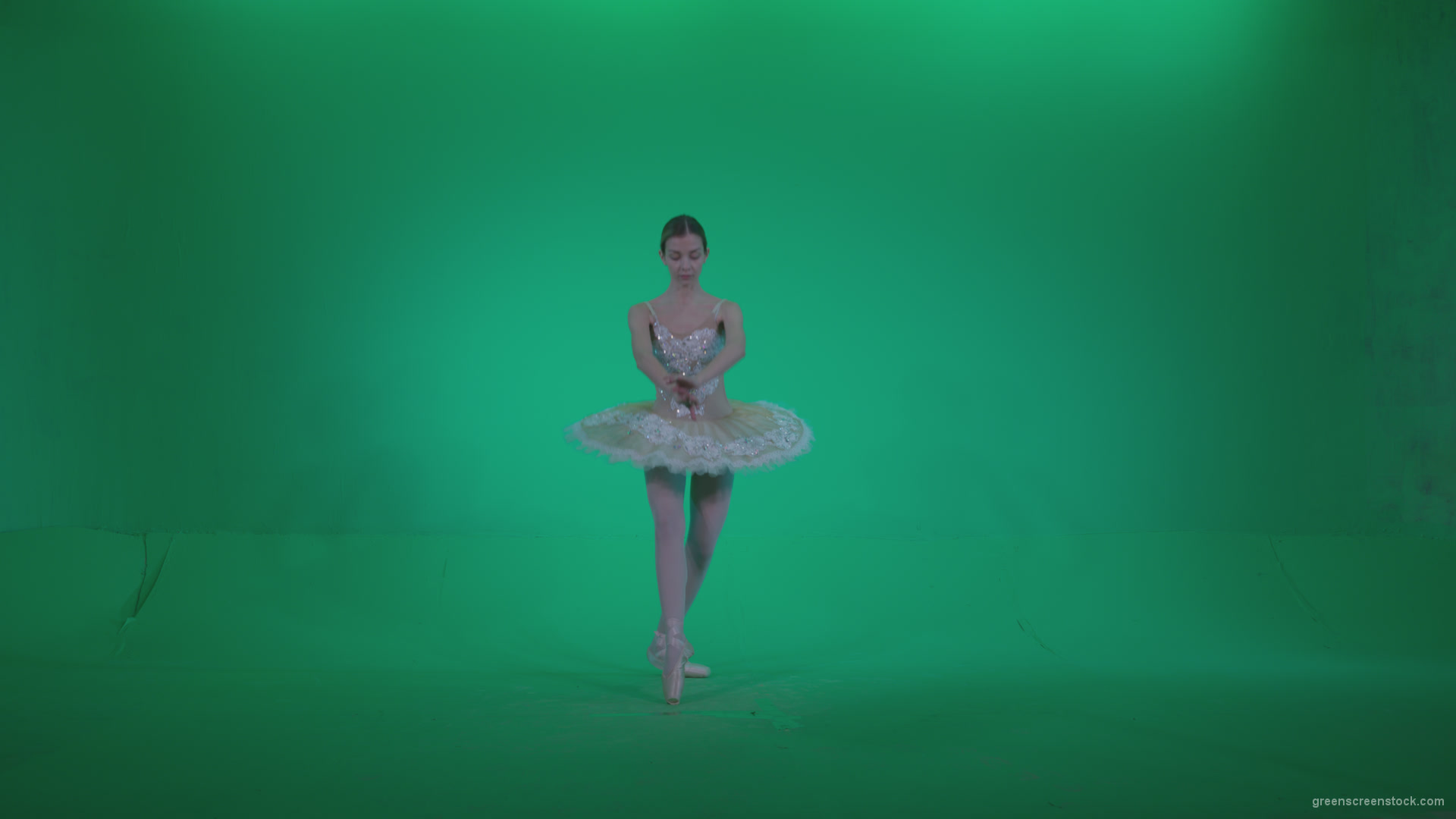 Ballet-White-Swan-s12-Green-Screen-Video-Footage_004 Green Screen Stock