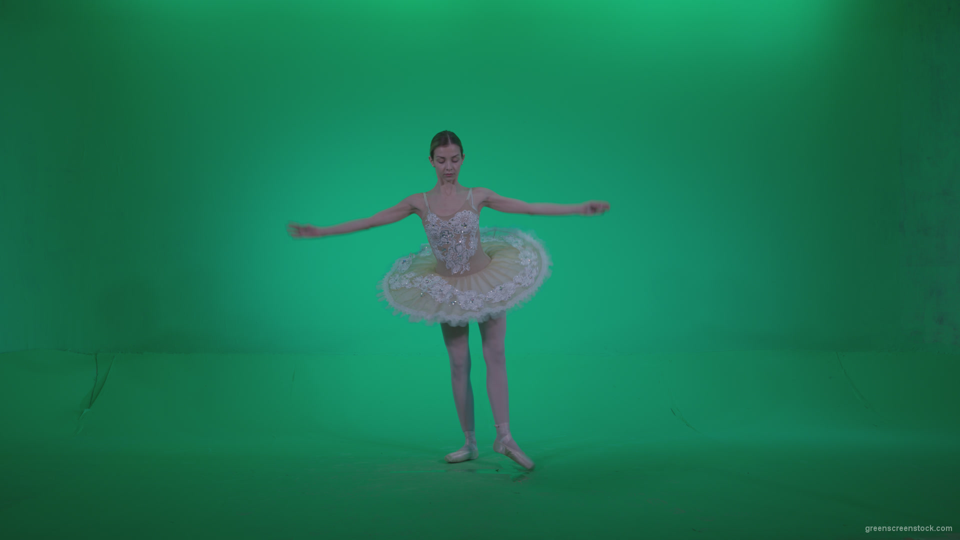 Ballet-White-Swan-s12-Green-Screen-Video-Footage_005 Green Screen Stock