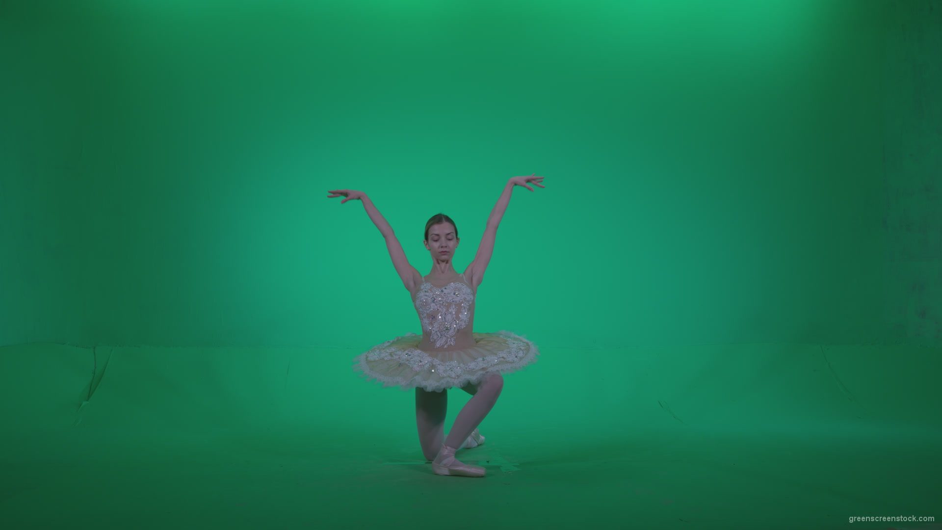 Ballet-White-Swan-s12-Green-Screen-Video-Footage_007 Green Screen Stock