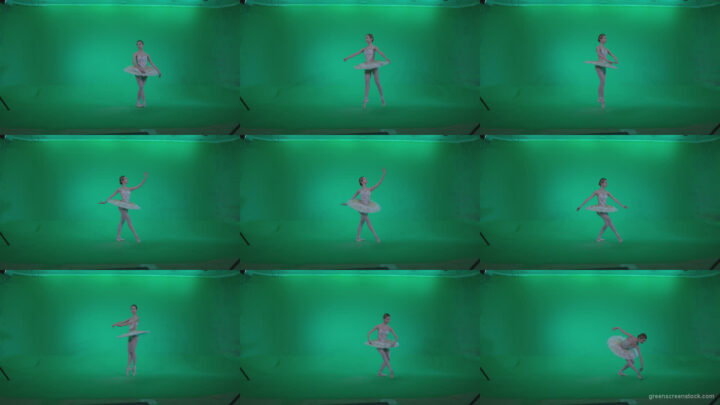Ballet-White-Swan-s13-new-Green-Screen-Video-Footage Green Screen Stock