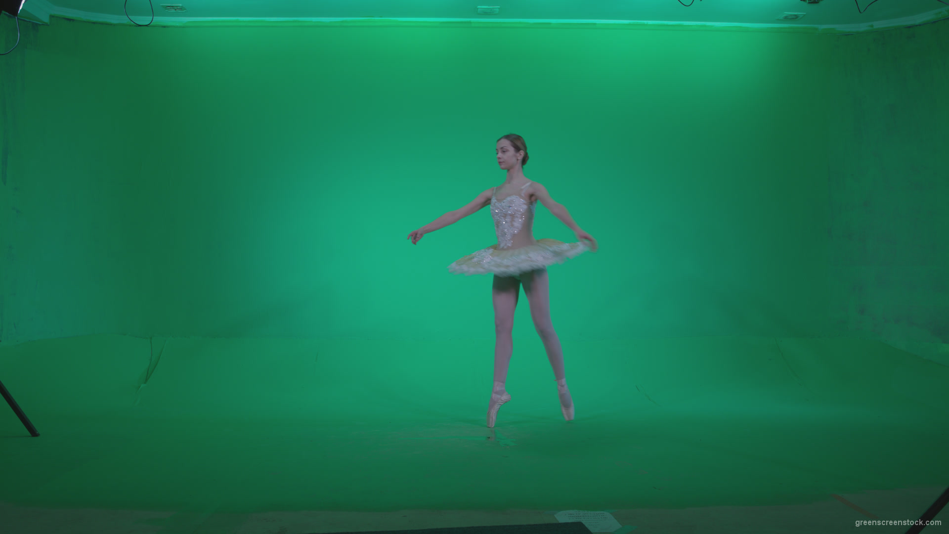 Ballet-White-Swan-s13-new-Green-Screen-Video-Footage_002 Green Screen Stock