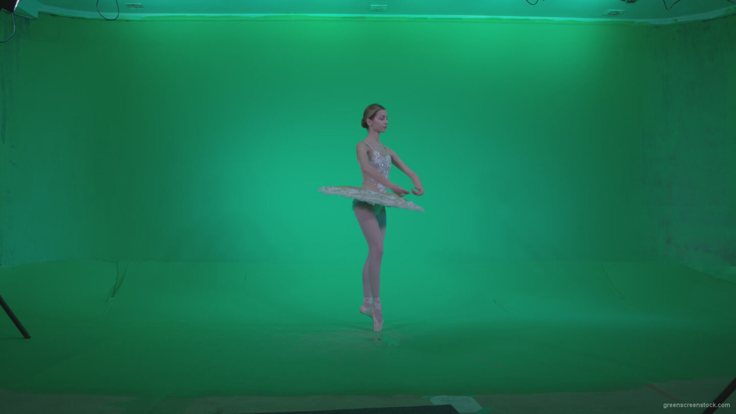 vj video background Ballet-White-Swan-s13-new-Green-Screen-Video-Footage_003