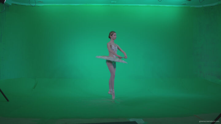 vj video background Ballet-White-Swan-s13-new-Green-Screen-Video-Footage_003