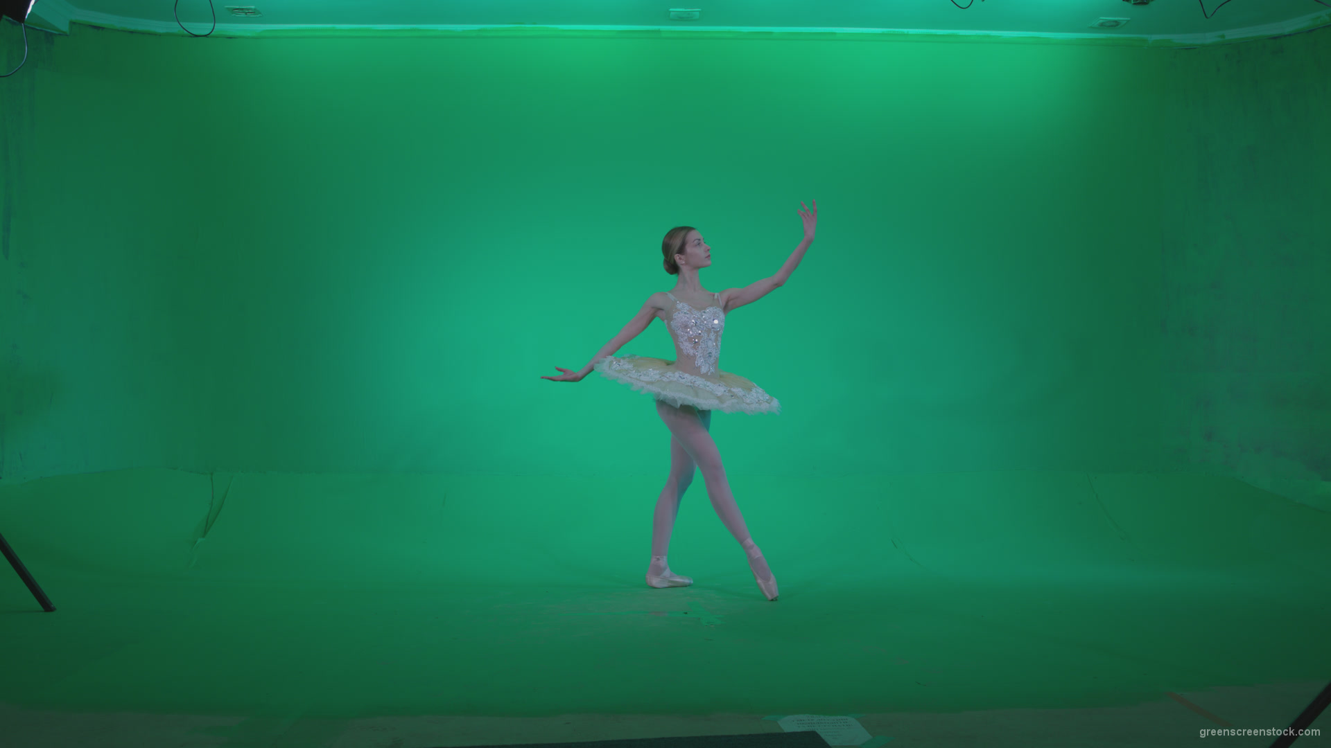 Ballet-White-Swan-s13-new-Green-Screen-Video-Footage_004 Green Screen Stock
