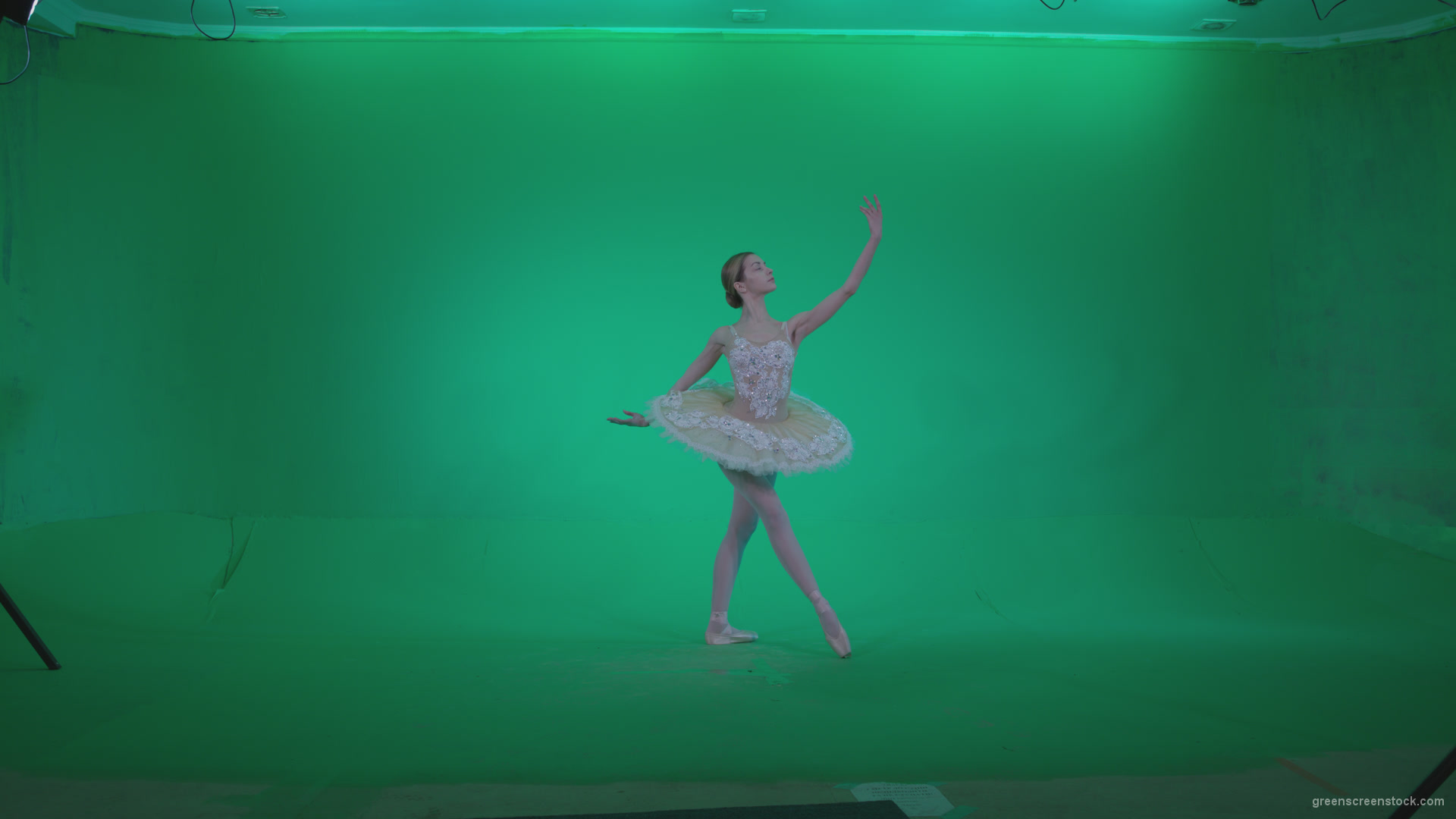 Ballet-White-Swan-s13-new-Green-Screen-Video-Footage_005 Green Screen Stock