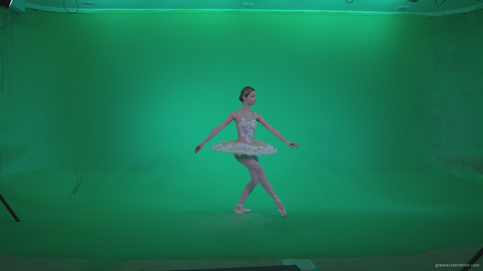 Ballet-White-Swan-s13-new-Green-Screen-Video-Footage_006 Green Screen Stock