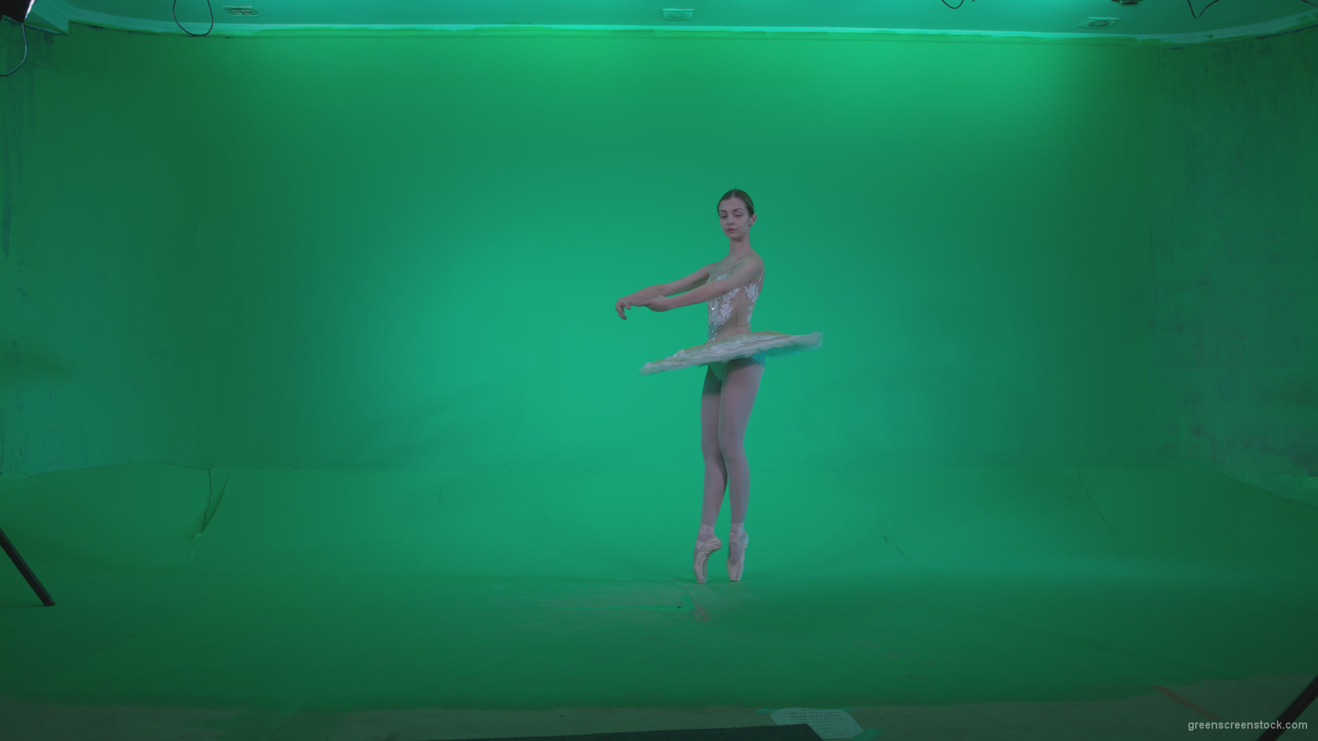 Ballet-White-Swan-s13-new-Green-Screen-Video-Footage_007 Green Screen Stock
