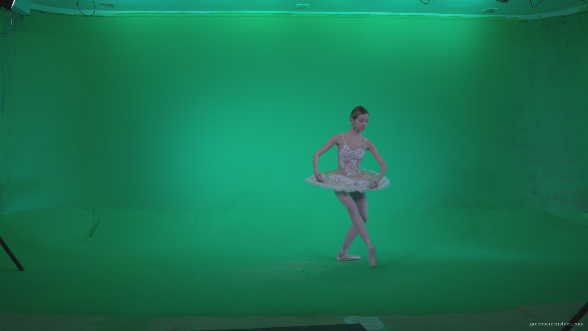 Ballet-White-Swan-s13-new-Green-Screen-Video-Footage_008 Green Screen Stock
