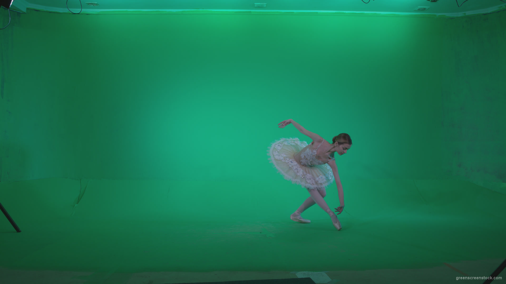 Ballet-White-Swan-s13-new-Green-Screen-Video-Footage_009 Green Screen Stock