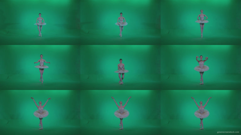Ballet-White-Swan-s14-Green-Screen-Video-Footage Green Screen Stock