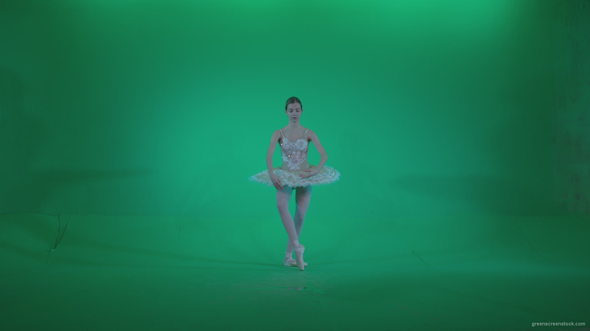 Ballet-White-Swan-s14-Green-Screen-Video-Footage_001 Green Screen Stock
