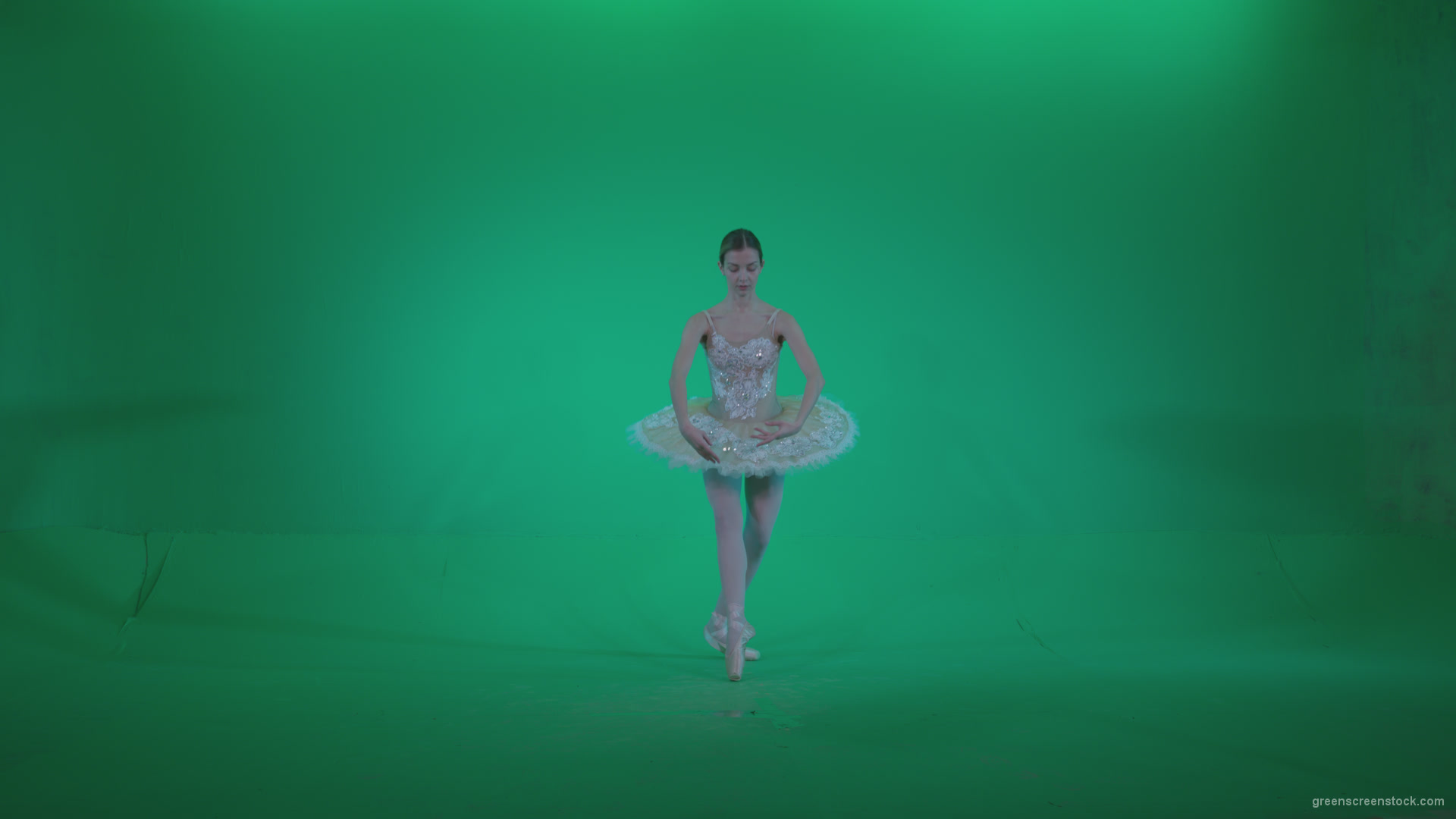 Ballet-White-Swan-s14-Green-Screen-Video-Footage_002 Green Screen Stock