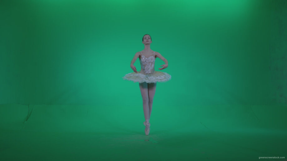 vj video background Ballet-White-Swan-s14-Green-Screen-Video-Footage_003