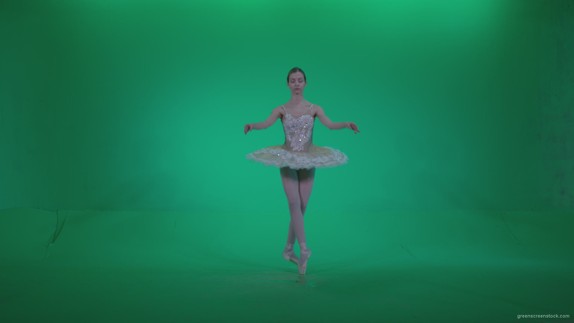 Ballet-White-Swan-s14-Green-Screen-Video-Footage_004 Green Screen Stock