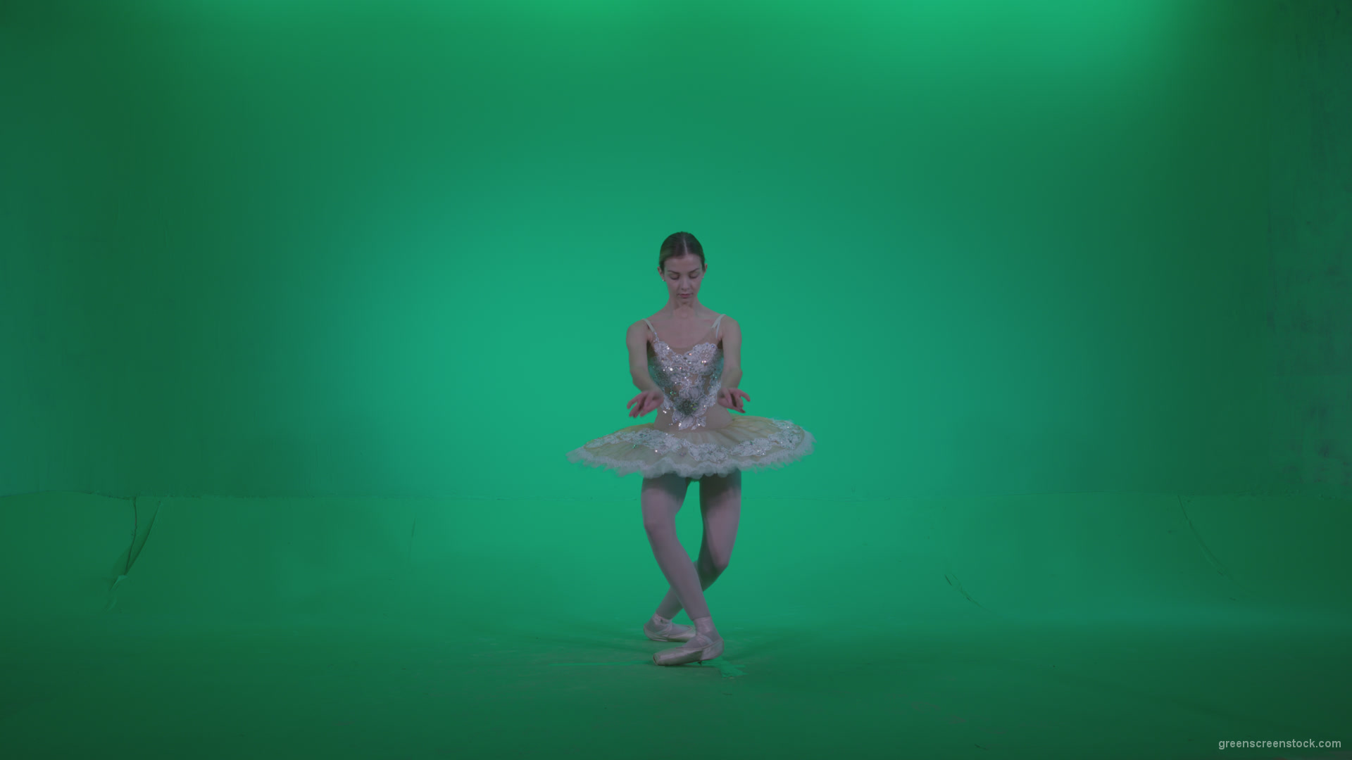 Ballet-White-Swan-s14-Green-Screen-Video-Footage_005 Green Screen Stock