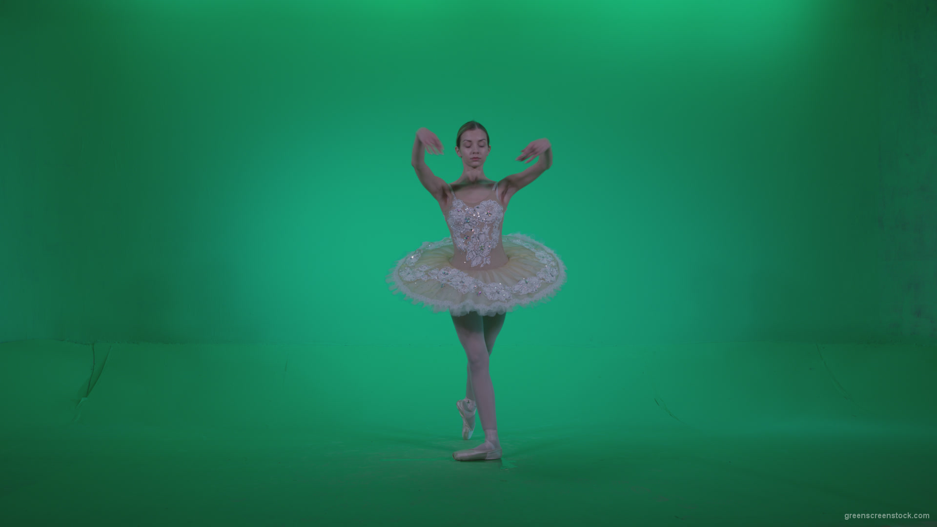 Ballet-White-Swan-s14-Green-Screen-Video-Footage_006 Green Screen Stock