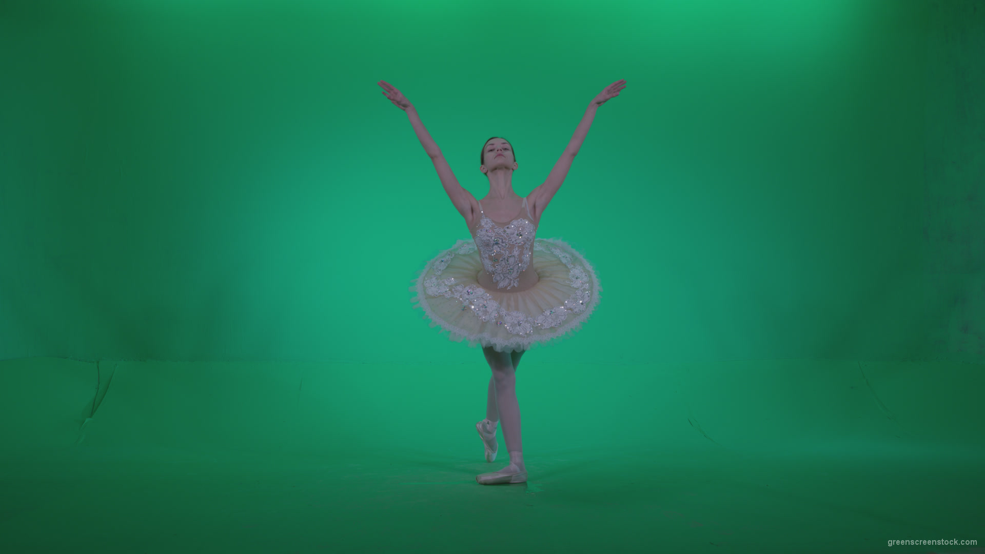 Ballet-White-Swan-s14-Green-Screen-Video-Footage_008 Green Screen Stock