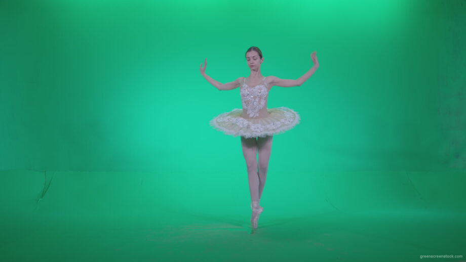 vj video background Ballet-White-Swan-s1_003