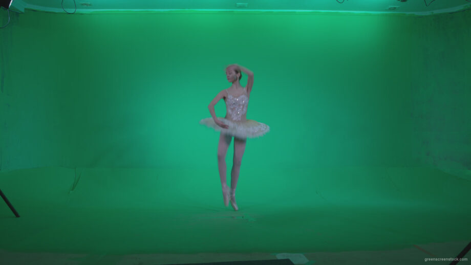 vj video background Ballet-White-Swan-s2_003