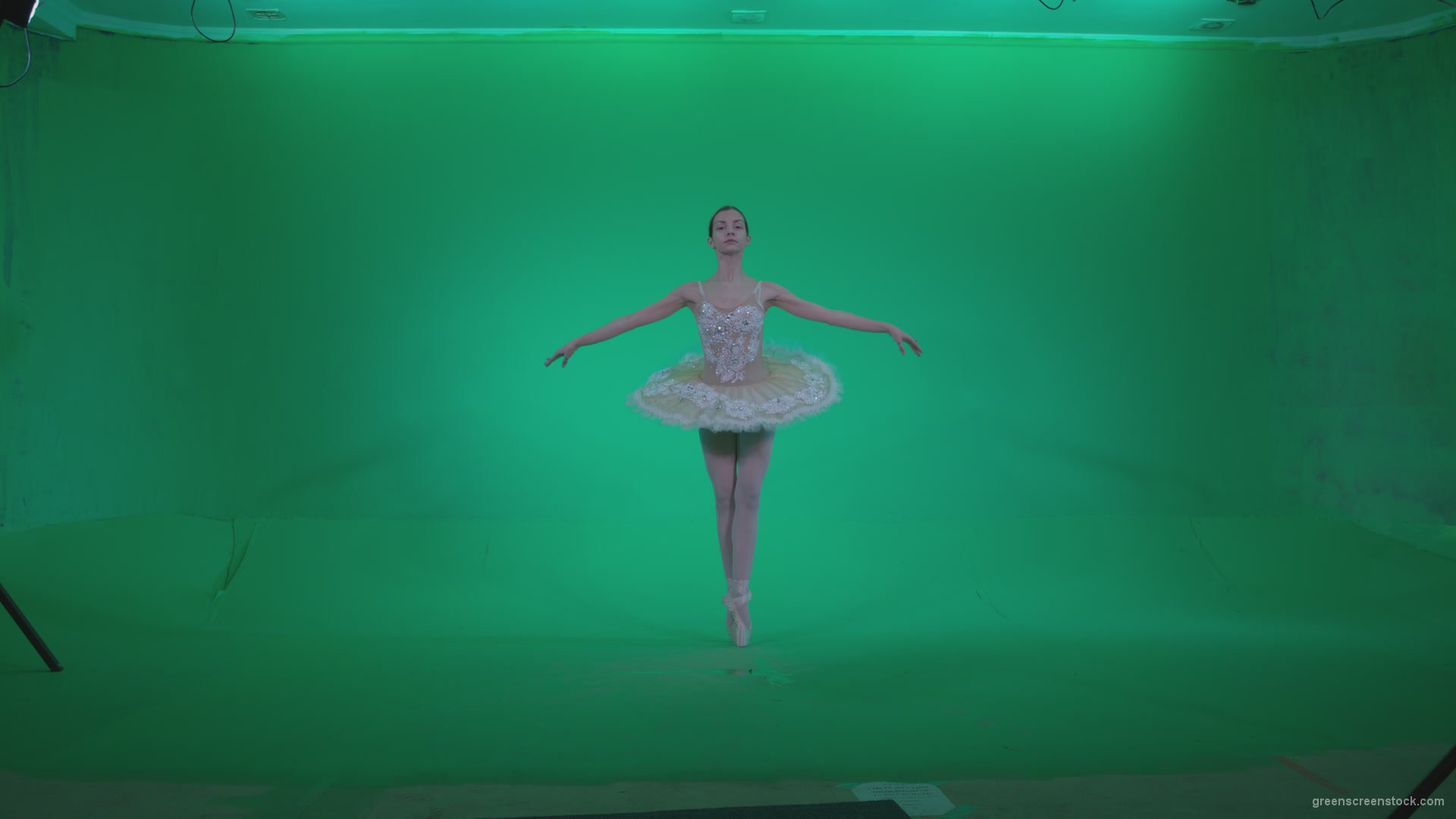 Ballet-White-Swan-s2_004 Green Screen Stock
