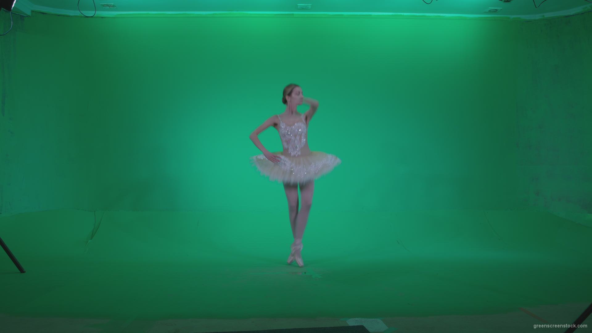 Ballet-White-Swan-s2_006 Green Screen Stock