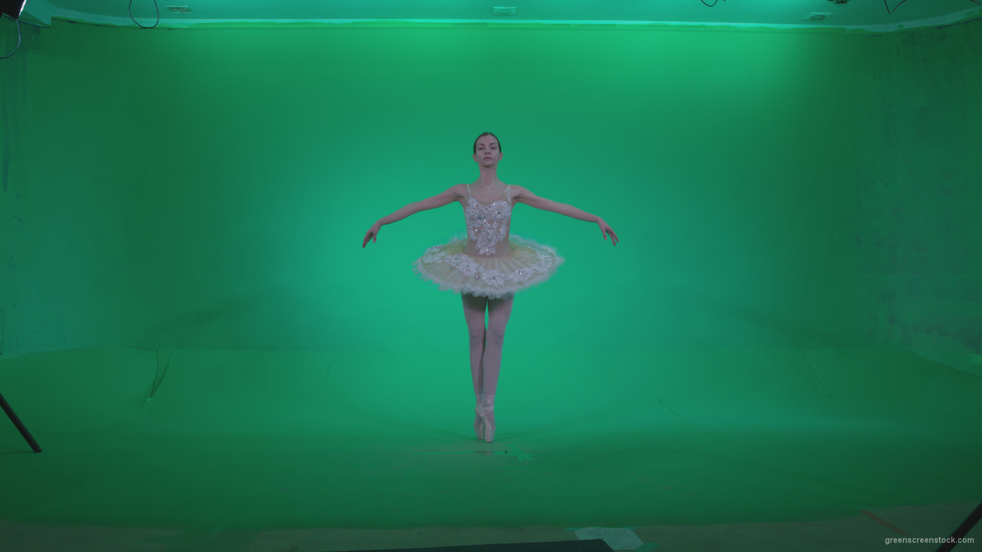 Ballet-White-Swan-s2_007 Green Screen Stock