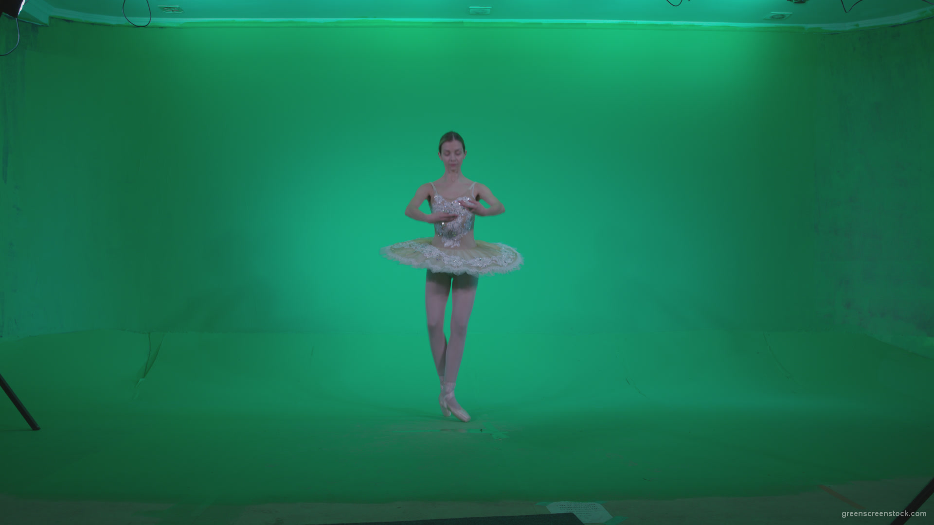 Ballet-White-Swan-s2_009 Green Screen Stock