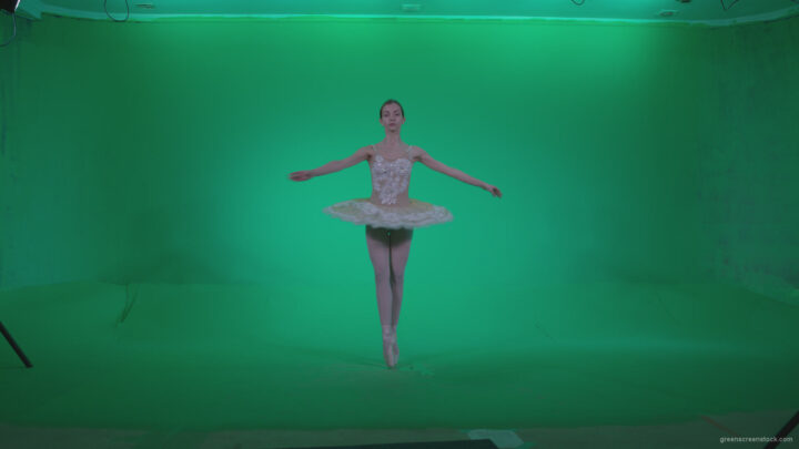 vj video background Ballet-White-Swan-s3_003