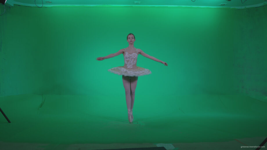 vj video background Ballet-White-Swan-s3_003