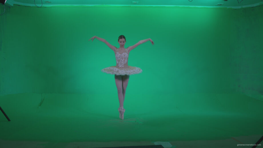 vj video background Ballet-White-Swan-s4_003