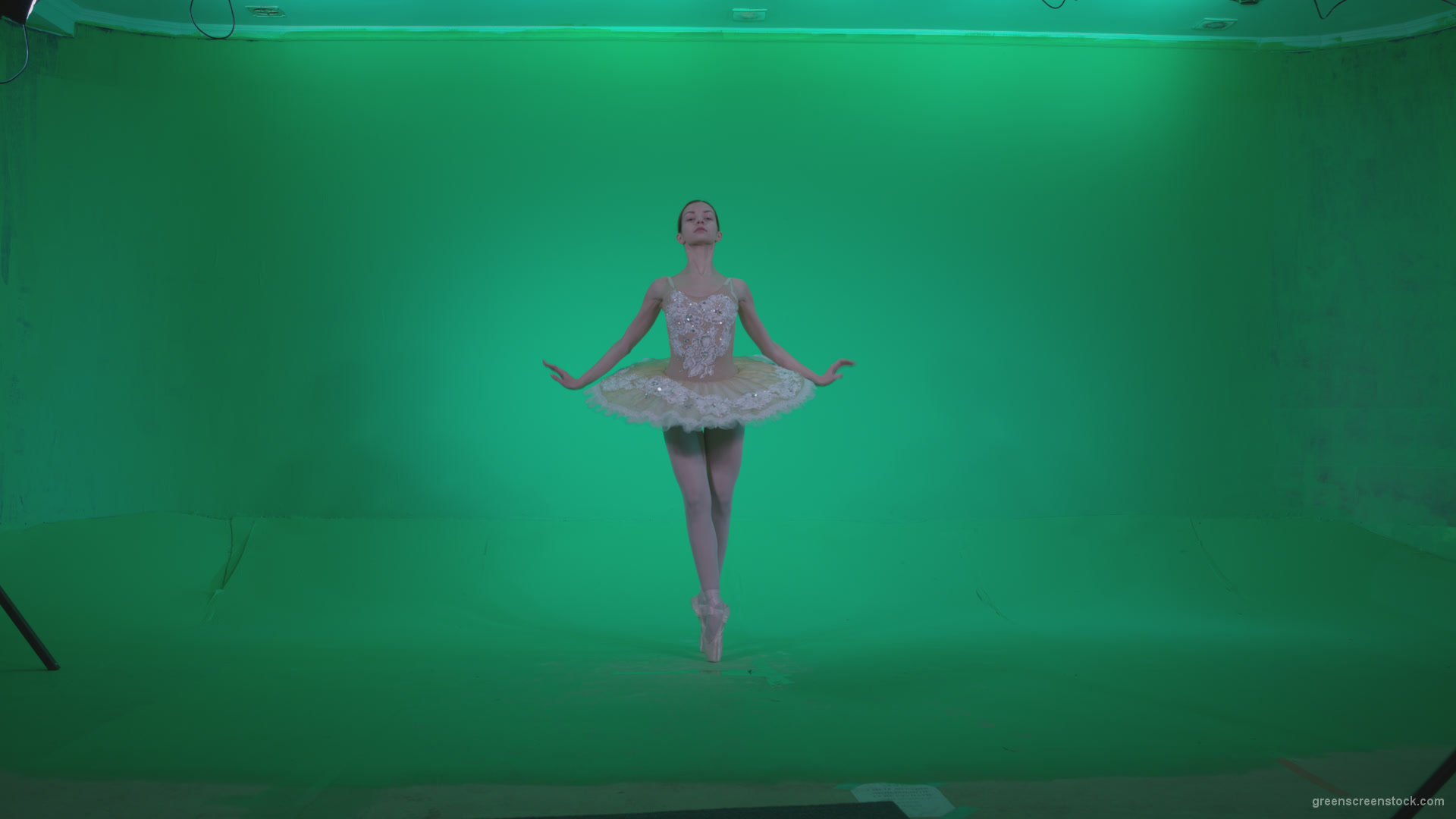 Ballet-White-Swan-s4_004 Green Screen Stock