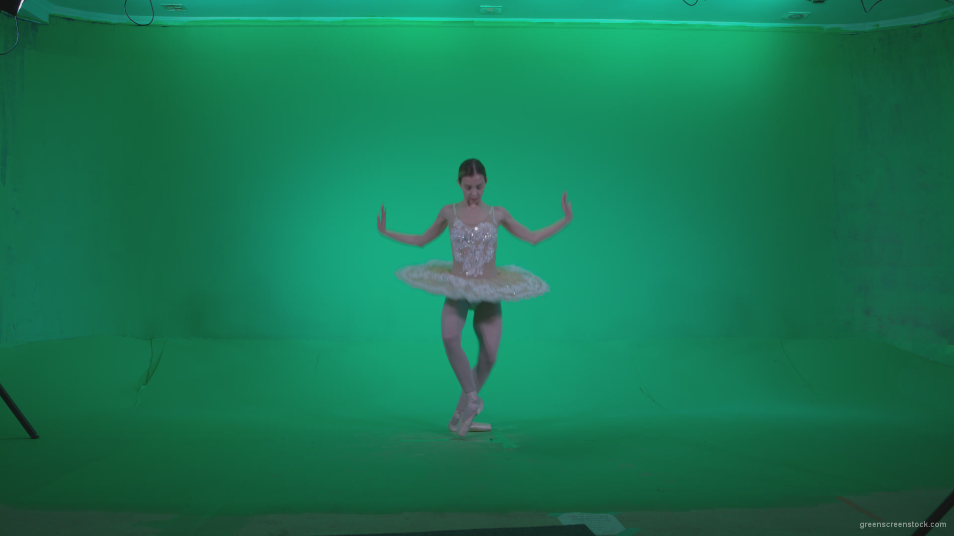 Ballet-White-Swan-s4_005 Green Screen Stock