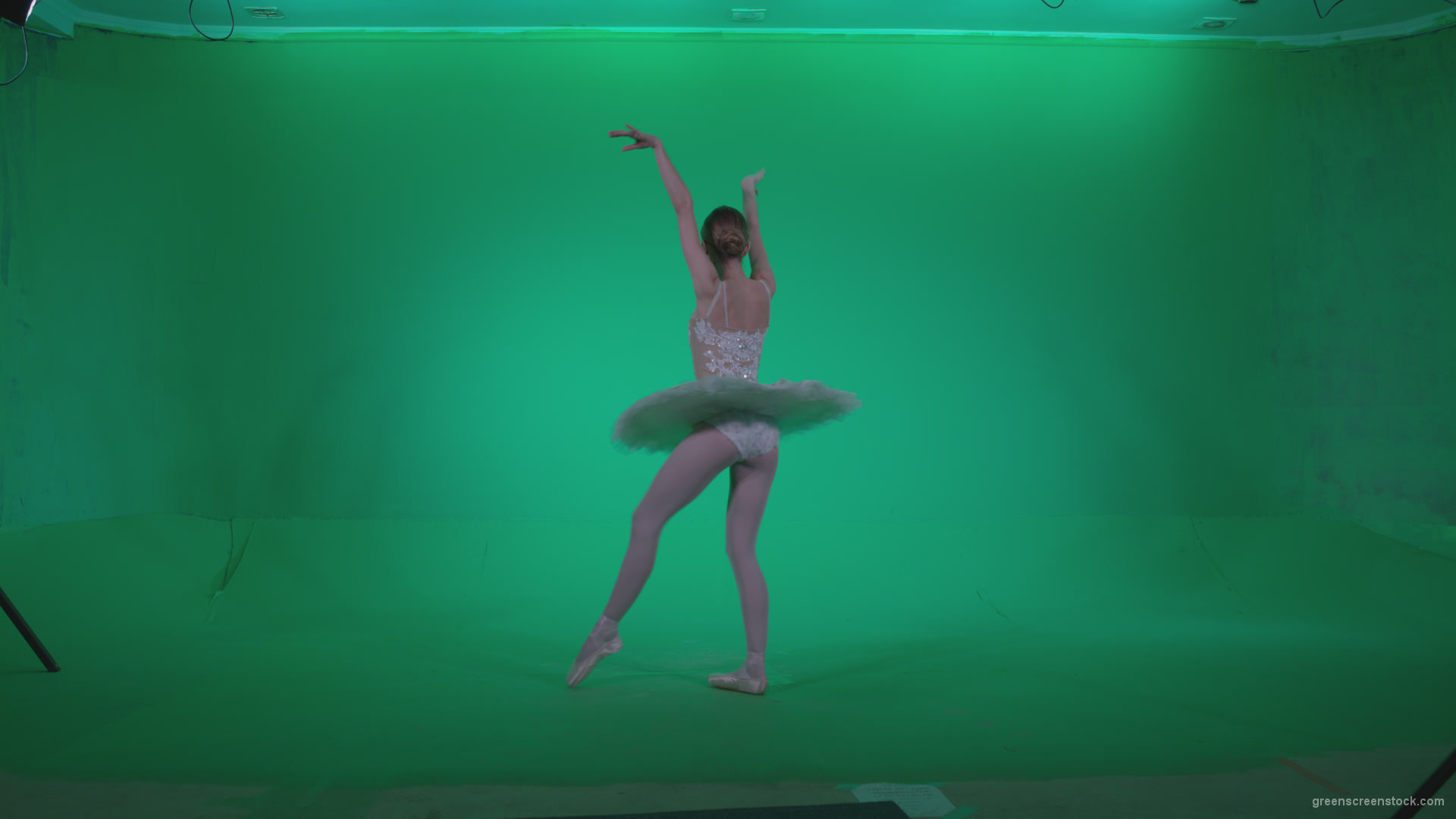 Ballet-White-Swan-s4_006 Green Screen Stock