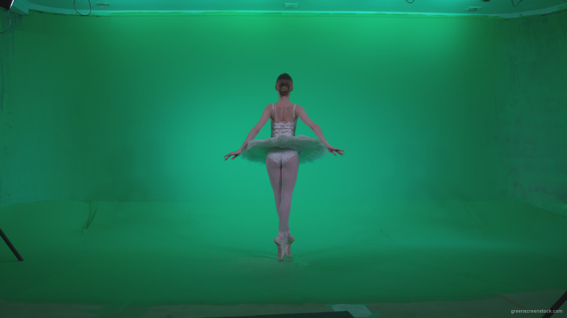 Ballet-White-Swan-s4_007 Green Screen Stock