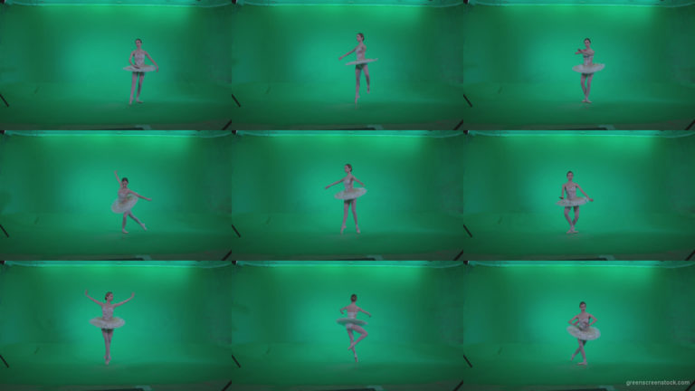 Ballet-White-Swan-s5-Green-Screen-Video-Footage Green Screen Stock