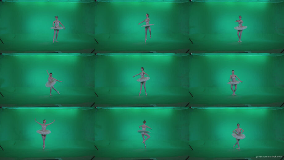 Ballet-White-Swan-s5-Green-Screen-Video-Footage Green Screen Stock