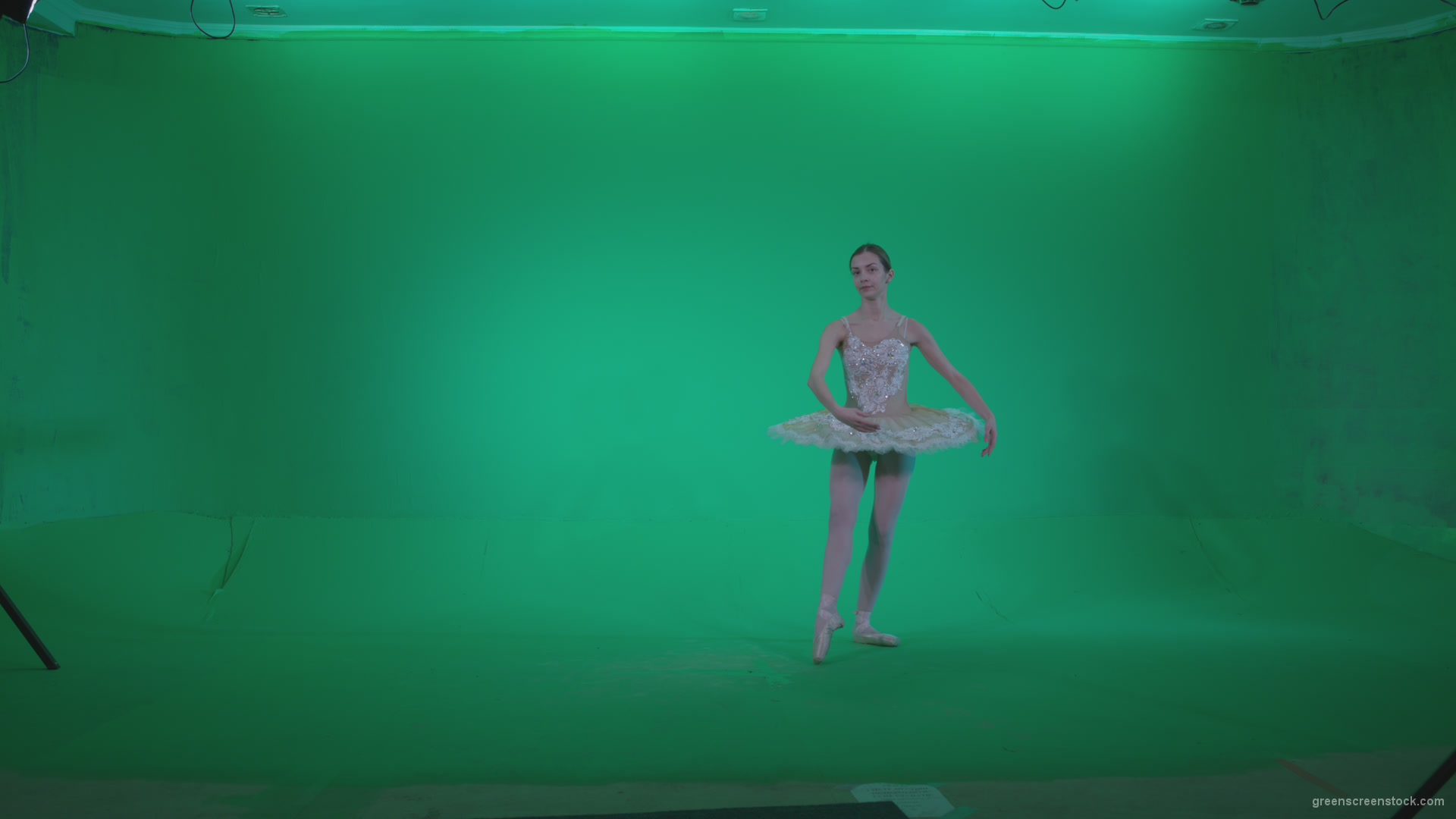 Ballet-White-Swan-s5-Green-Screen-Video-Footage_001 Green Screen Stock