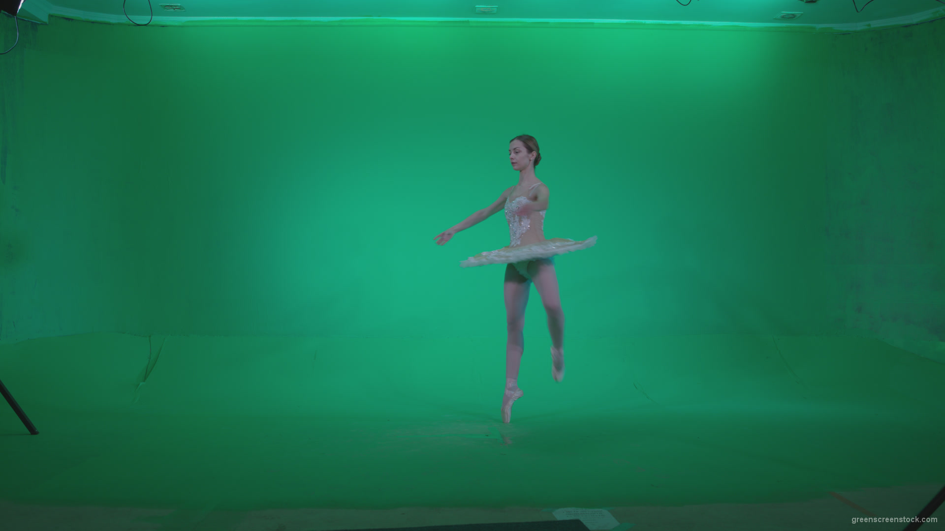 Ballet-White-Swan-s5-Green-Screen-Video-Footage_002 Green Screen Stock