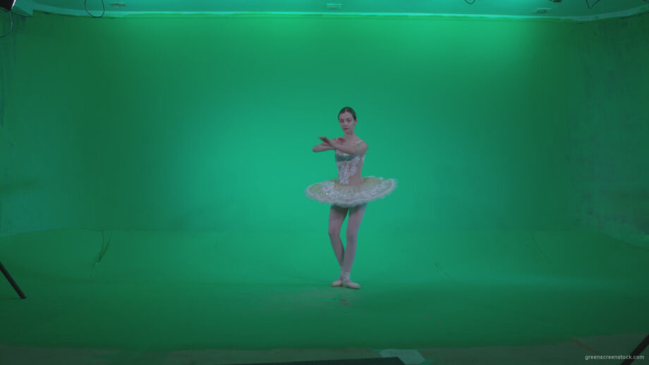 vj video background Ballet-White-Swan-s5-Green-Screen-Video-Footage_003