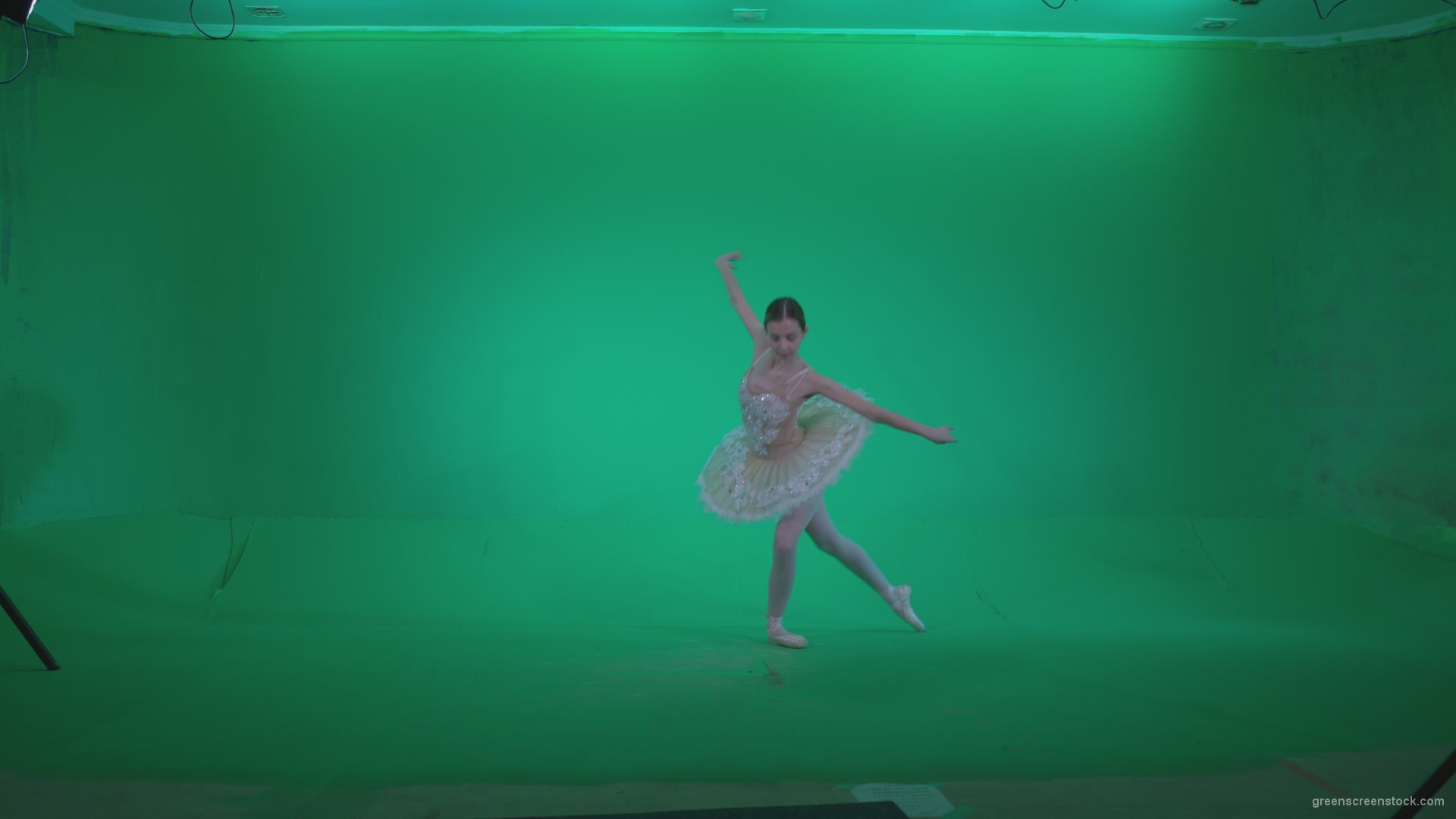 Ballet-White-Swan-s5-Green-Screen-Video-Footage_004 Green Screen Stock